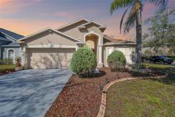 Picture of 8534 Carriage Pointe Drive, Gibsonton, FL 33534