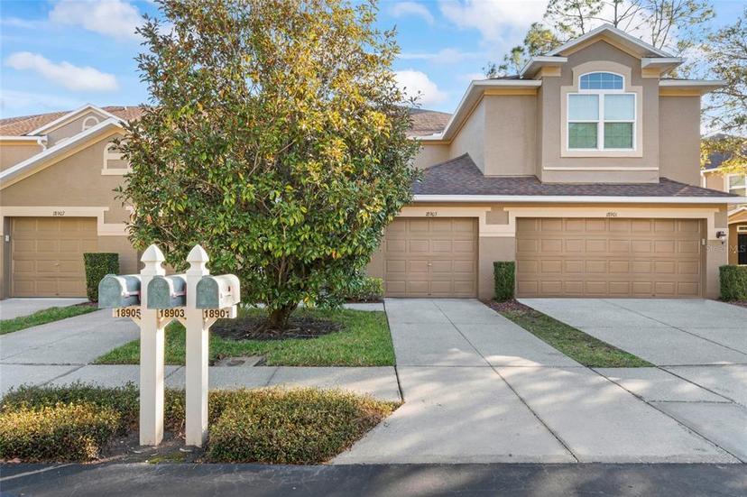 Picture of 18903 Duquesne Drive, Tampa FL 33647