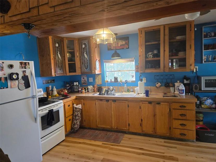 Picture of 17233 Dalberg Drive, Spring Hill FL 34610