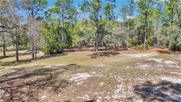 Picture of 7471 W Quiana Lane, Dunnellon, FL 34433
