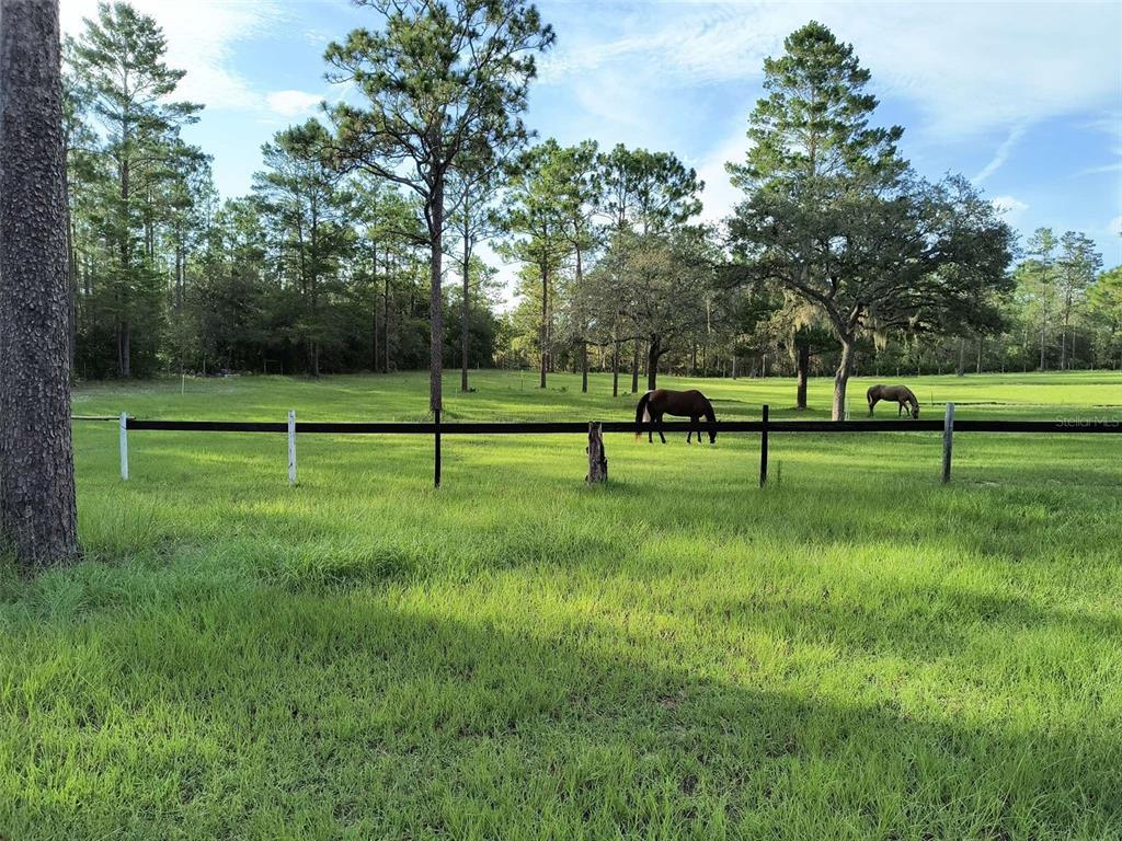 Picture of 7471 W Quiana Lane, Dunnellon, FL 34433
