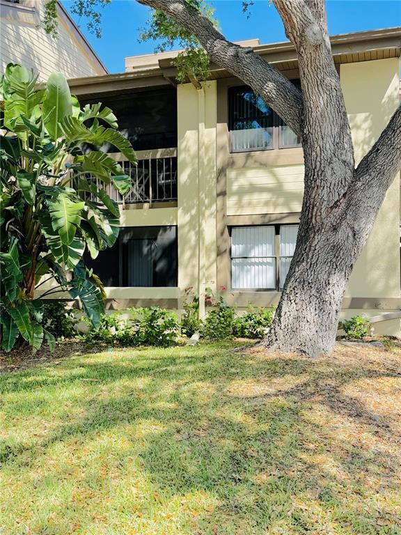 Picture of 247 Woodlake Wynde, Oldsmar, FL 34677