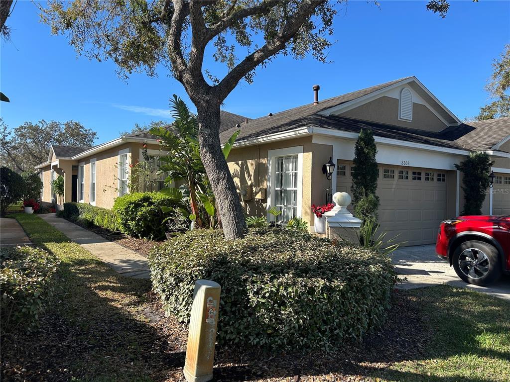 Picture of 8603 Egret Point Court, Tampa, FL 33647