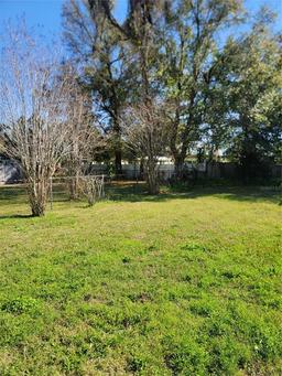 Picture of 4202 Mizell Street, Orlando, FL 32812