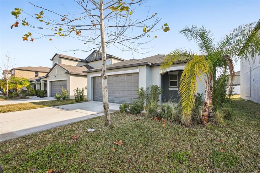 Picture of 7147 Samuel Ivy Drive, Tampa FL 33619