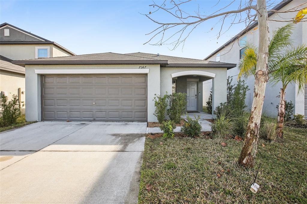 Picture of 7147 Samuel Ivy Drive, Tampa, FL 33619