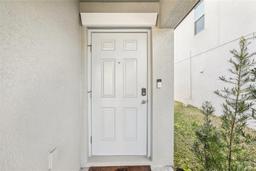 Picture of 7147 Samuel Ivy Drive, Tampa, FL 33619