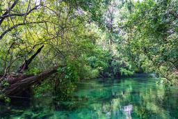 Picture of 6448 W Richard Drive, Weeki Wachee, FL 34607