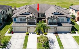 Picture of 11648 Crowned Sparrow Lane, Tampa, FL 33626