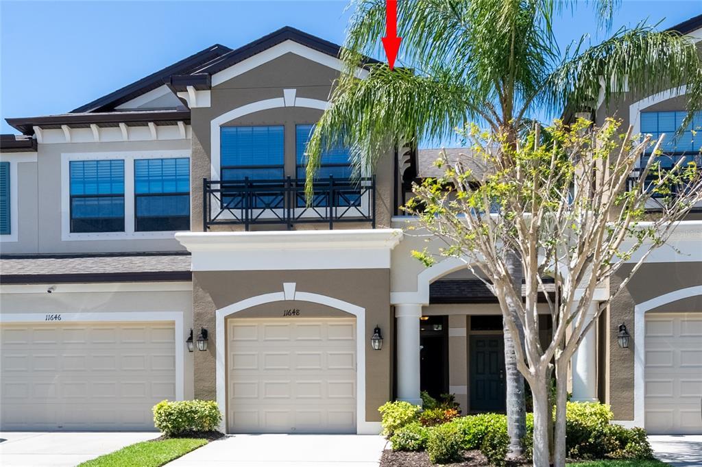 Picture of 11648 Crowned Sparrow Lane, Tampa, FL 33626