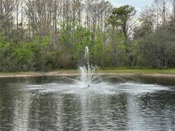 Picture of 12155 Environmental Drive Unit 6, New Port Richey, FL 34654