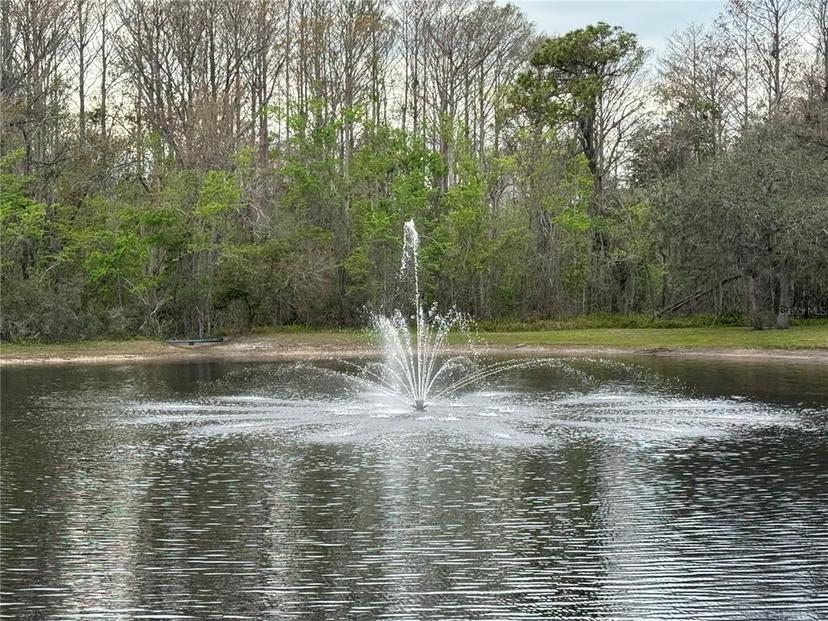 Picture of 12155 Environmental Drive Unit 6, New Port Richey FL 34654