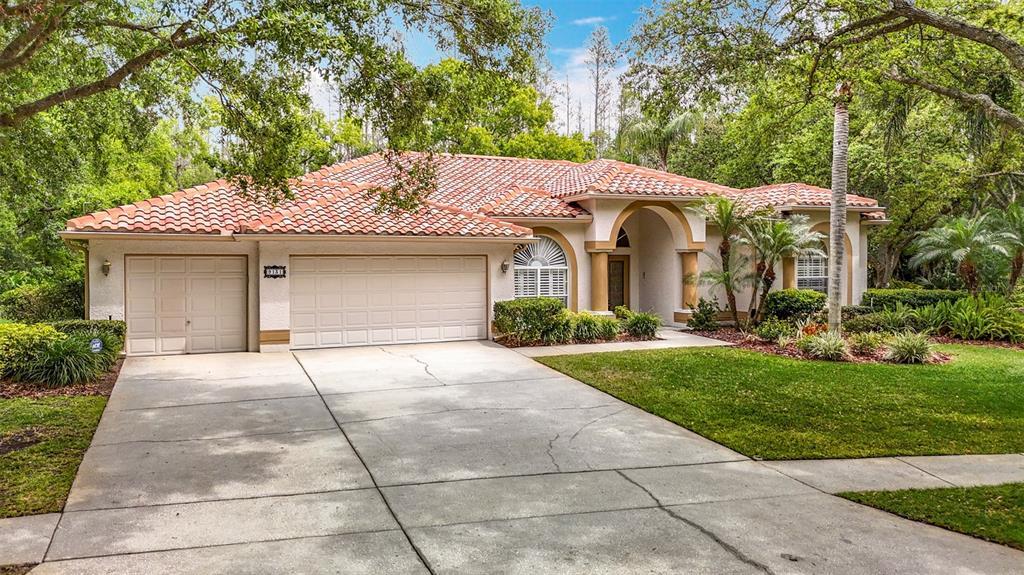 Picture of 9131 Woodridge Run Drive, Tampa, FL 33647