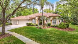Picture of 9131 Woodridge Run Drive, Tampa, FL 33647