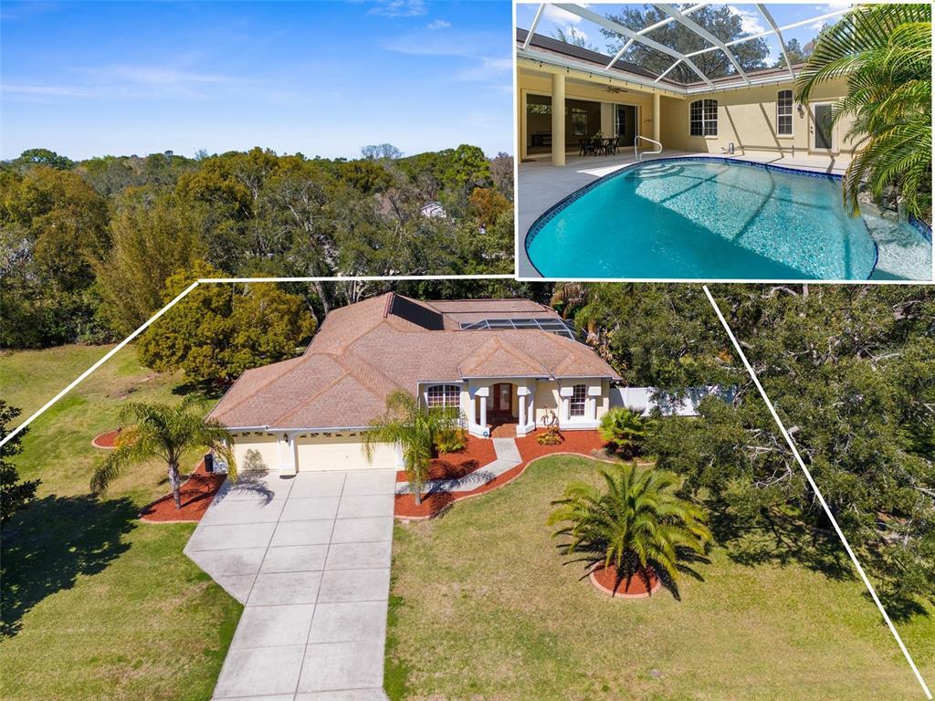 Picture of 10079 Deer Street, Spring Hill, FL 34608