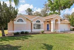 Picture of 10210 Silver Bluff Drive, Leesburg, FL 34788