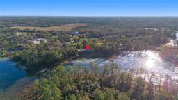 Picture of 39615 Forest Drive, Eustis, FL 32736