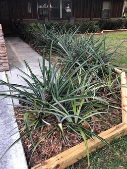 Picture of 5210 Indrio Road, Fort Pierce, FL 34951