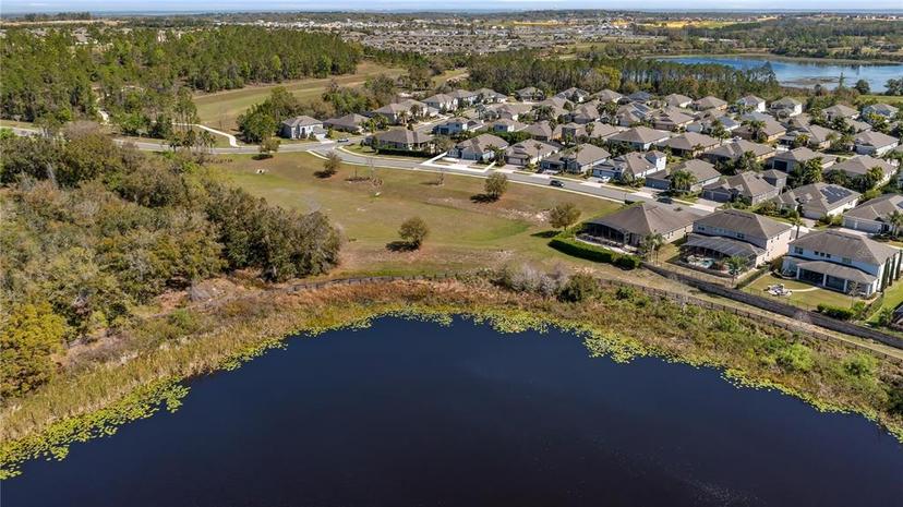 Picture of 569 Bellflower Way, Clermont FL 34715