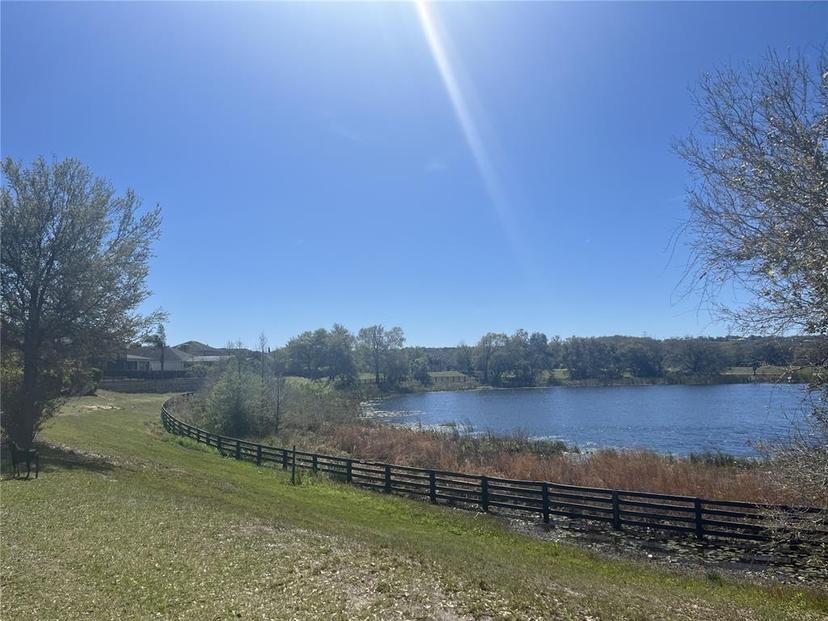 Picture of 569 Bellflower Way, Clermont FL 34715