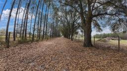Picture of 1284 W C 478, Webster, FL 33597