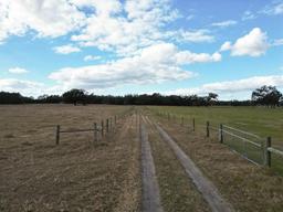 Picture of 993 Cr 722, Webster, FL 33597