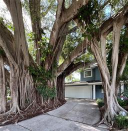 Picture of 7735 Westmoreland Drive, Sarasota, FL 34243