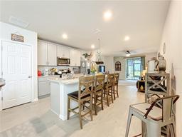 Picture of 3764 Shoveler Avenue, Leesburg, FL 34748