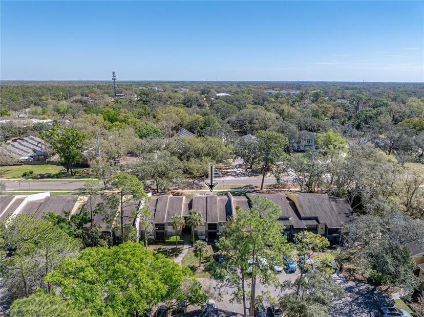 Picture of 13385 Arbor Pointe Circle Unit 203, Tampa FL 33617