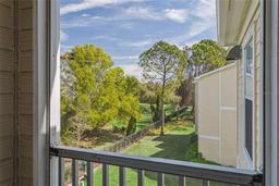 Picture of 18445 Bridle Club Drive, Tampa, FL 33647