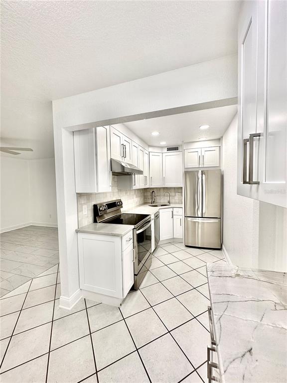 Picture of 209 NE Lincoln Circle N Unit 105, St Petersburg FL 33702
