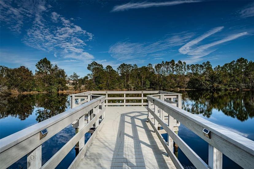 Picture of 3150 Granite Ridge Loop, Land O Lakes FL 34638