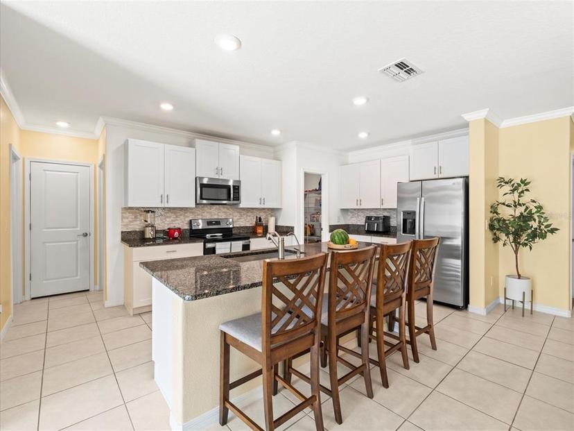 Picture of 17950 Beaming Rays Lane, Lutz FL 33558