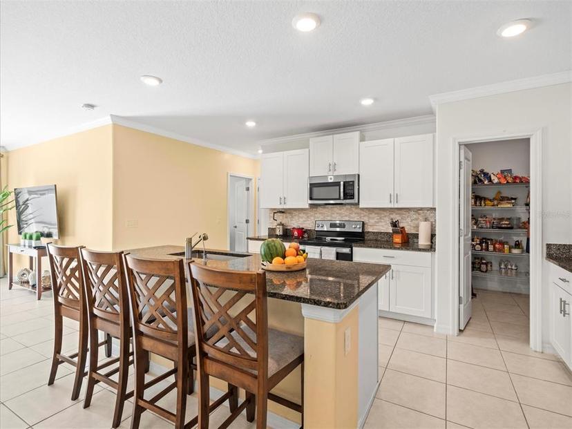 Picture of 17950 Beaming Rays Lane, Lutz FL 33558
