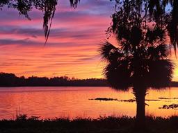Picture of 2526 SW 14Th Drive Unit 212, Gainesville, FL 32608