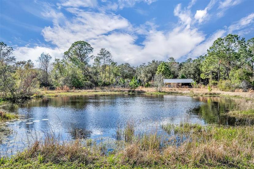 Picture of 42141 Chinaberry Street, Eustis FL 32736