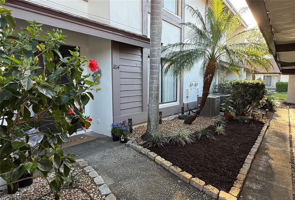 Picture of 1814 Cypress Trace Drive, Safety Harbor, FL 34695