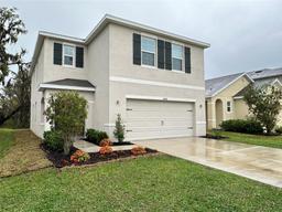 Picture of 10908 Carlton Fields Drive, Riverview, FL 33579