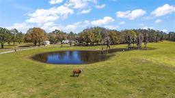 Picture of 6813 S Fork Ranch Drive, Clermont, FL 34714