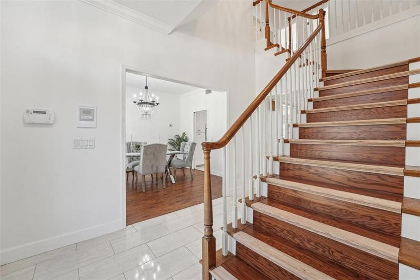 Picture of 12908 Cinnimon Place, Tampa FL 33624