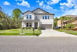 Picture of 8721 Savory Walk Drive, Land O Lakes, FL 34637