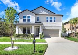 Picture of 8721 Savory Walk Drive, Land O Lakes, FL 34637