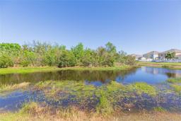 Picture of 11914 Ledbury Commons Drive, Gibsonton, FL 33534