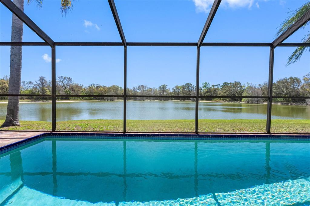 Picture of 8640 Chadwick Drive, Tampa, FL 33635