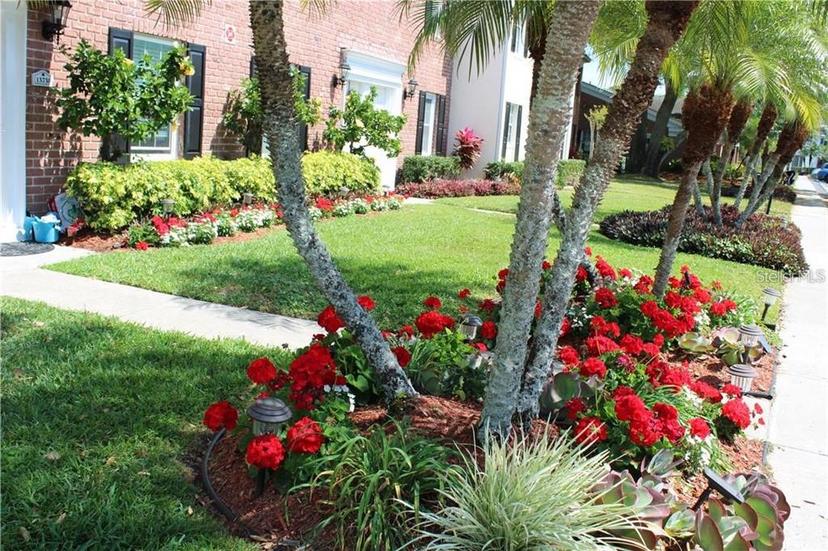 Picture of 13736 Orange Sunset Drive, Tampa FL 33618