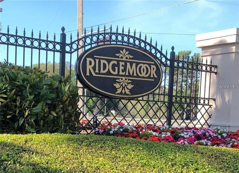 Picture of 3798 Darston Street, Palm Harbor FL 34685