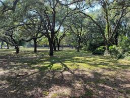 Picture of 14837 Battenwood Drive, Spring Hill, FL 34610