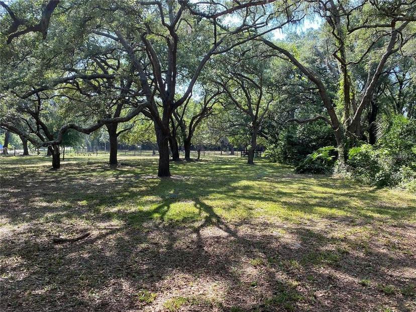 Picture of 14837 Battenwood Drive, Spring Hill FL 34610