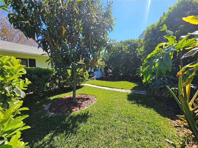Picture of 2321 Tamarind Drive, Edgewater FL 32141
