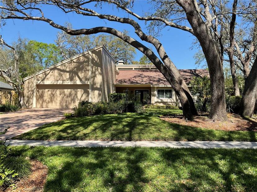 Picture of 11712 Palmer Drive, Tampa FL 33624